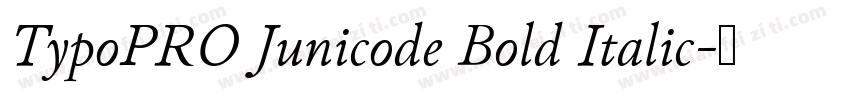 TypoPRO Junicode Bold Italic字体转换
